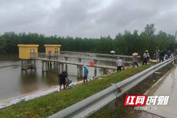 南县防汛实时更新，最新动态报告